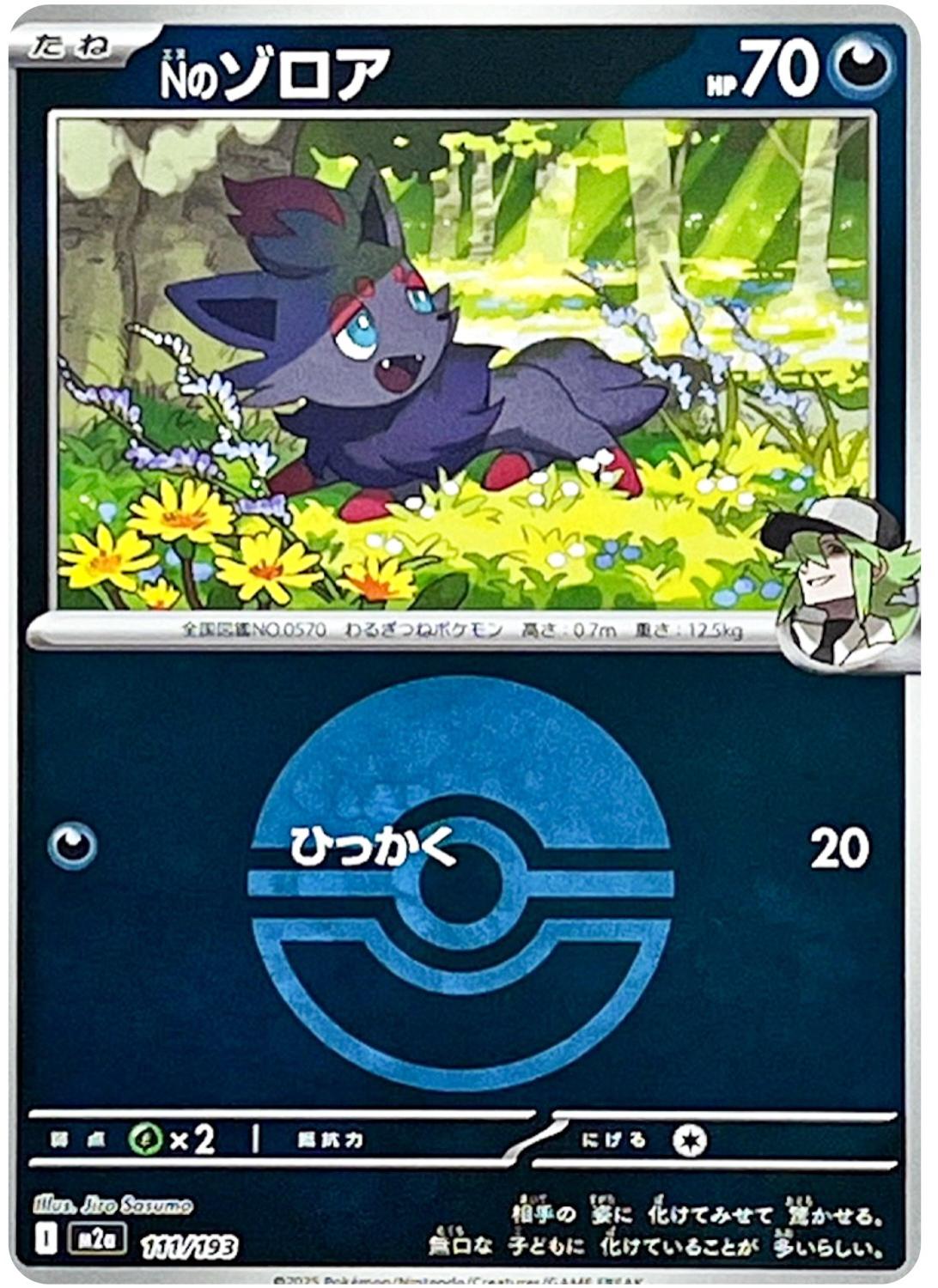Japanese Mega Dream ex N's Zorua [Ball] Pokémon card